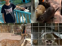 -水上乐园·欢乐世界