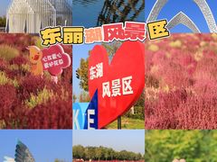 -天津东丽湖风景区