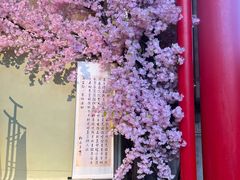 -杭州宋城