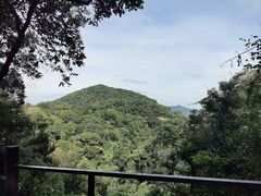 -广州市帽峰山景区