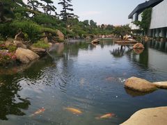 -罗红摄影艺术馆