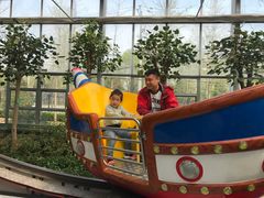 游乐设施-南宫五洲植物乐园