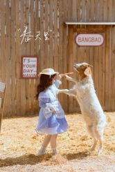 -米乐儿童摄影美学馆(怀柔店)