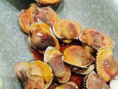 毛蚶-高佳庄·海鲜酒楼(东港店)