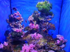 -多彩贵州城极地海洋世界