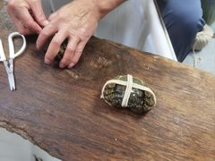 -阳澄湖大闸蟹·琼灵阁牌品牌连锁(吴中总店)
