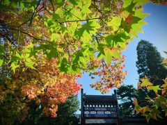 -香山公园