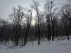 -中旅松花湖滑雪场