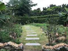-陶缘一号·四季缘·老字号顺德菜·户外婚礼家宴(西滘店)