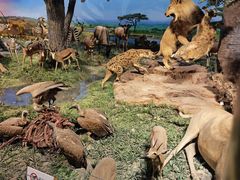 -国家自然博物馆