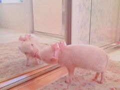 -海银海记潮汕牛肉火锅(新港中路海珠店)