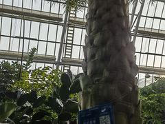-南山植物园