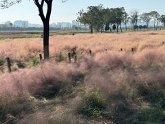 -汉长安城未央宫国家考古遗址公园