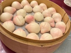 -美心皇宫(沙田大会堂店)