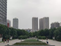 -木塔寺遗址生态公园