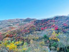 -水峪民俗村