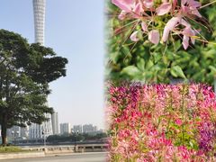 -二沙岛艺术公园