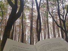 -月湖风景区