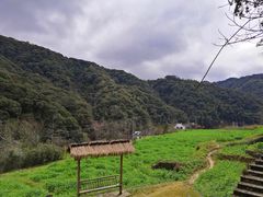 -婺源博物馆