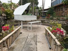 -花溪雨·森林餐厅(石基店)