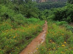 -白马涧龙池景区