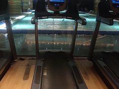 -长春净月潭喜来登酒店·盛宴标帜餐厅