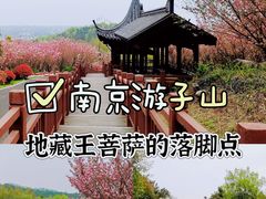 -游子山休闲旅游区