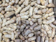 -虾女王·龙虾·烧烤(龙江店)