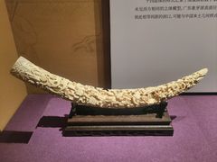 -广东省博物馆
