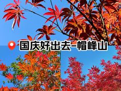 -广州市帽峰山景区