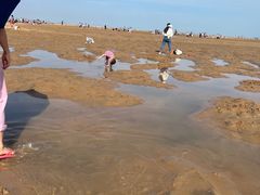 -刘家湾赶海园