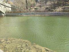 -迎泽公园