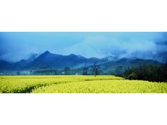 -祁门牯牛降观音堂风景区