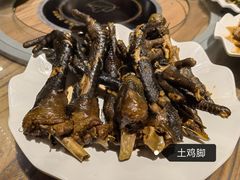 -老号尤兔头(幸福店)