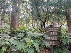 -汇龙潭