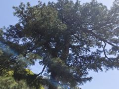 -秦岭终南山世界地质公园翠华山景区
