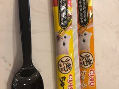 -飞行喵MR PILOT|猫舍·猫咖(静安大融城店)