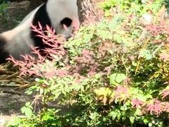 -仙芝竹尖生态园旅游景区