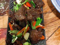素炒野生木耳-紫滇源云南生态菜(丹凤街店)