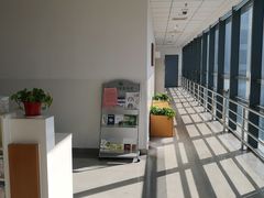 -首都医科大学附属北京潞河医院