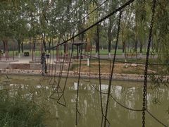 游乐设施-杨柳青庄园