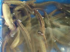 android_upload_pic-鲜鱼居饭店