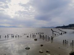 -深圳湾公园(南山区)