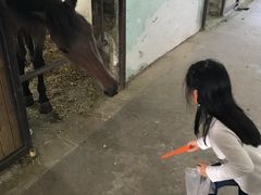 -松声马术俱乐部