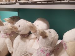 -NOME(太阳百货店)