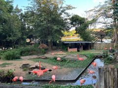 -清迈夜间动物园