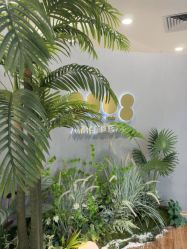 点击看大图 -八佰伴8008星级形象店