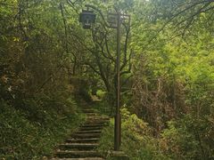 -杭州半山国家森林公园