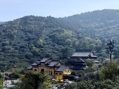 -树山生态村
