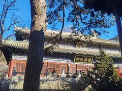 -潭柘寺景区